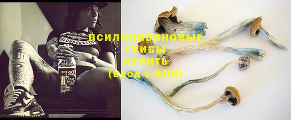 эйфоретик Волосово