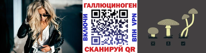 Псилоцибиновые грибы мицелий  omg ССЫЛКА  Камызяк 